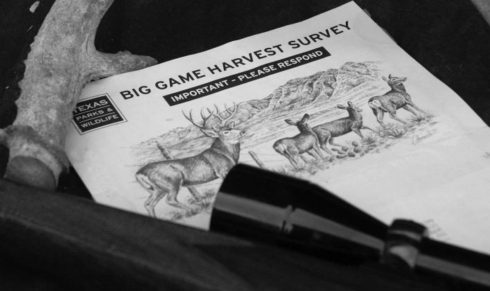 TPWD mailed out 170,000 harvest surveys for big game and small game this year to random Texas license holders. Recipients should do the responsible thing by completing the survey and returning it in a timely fashion. It only takes a few minutes complete. (Photo Illustration by Matt Williams)